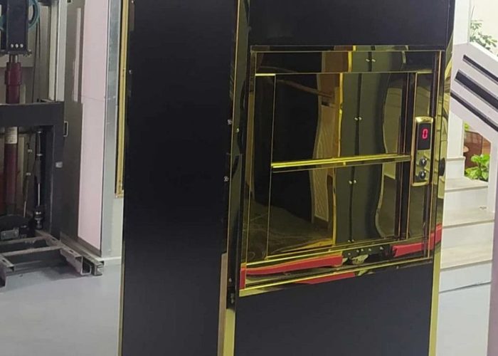 Gold paslanmaz kapışı yemek asansörü